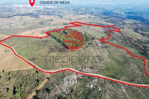 Farm i Meda, Guarda, Meda - € 190.000 | Ref: 495/MDA - foto 7