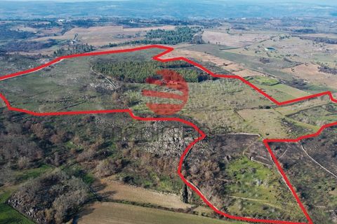 Farm i Meda, Guarda, Meda - € 190.000 | Ref: 495/MDA - foto 8