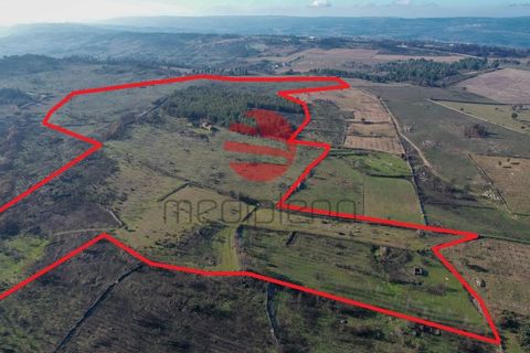 Farm i Meda, Guarda, Meda - € 190.000 | Ref: 495/MDA - foto 9