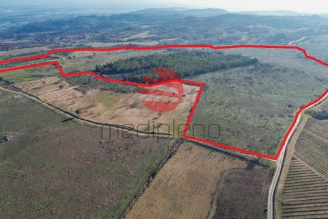 Farm i Meda, Guarda, Meda - € 190.000 | Ref: 495/MDA - foto 10
