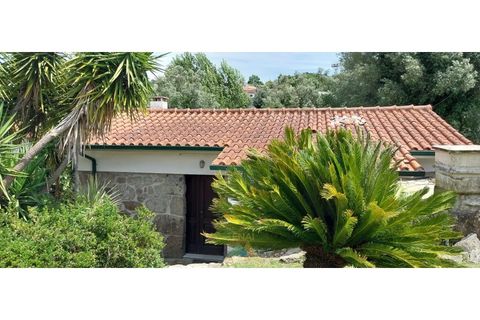 Villa i Ponte da Barca, Viana do Castelo, Ponte da Barca - € 340.000 | Ref: AVV-007-016 - foto 14