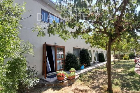 Landejendom i Cinigiano, Grosseto, Cinigiano - € 890.000 | Ref: RP-799270-799270 - foto 7