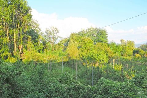 Villa a Mulazzo, Massa and Carrara, Mulazzo - € 120.000 | Ref: 181A-805616 - foto 31