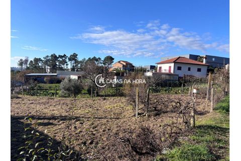 Helårsgrund i Viseu, Viseu, Viseu - € 37.000 | Ref: viseu/T/01861 - foto 3