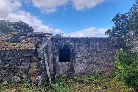 Villa i Sao Roque do Pico, Pico, Sao Roque do Pico - € 228.000 | Ref: 374260001 - foto 19