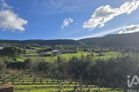 Terra a Cadaval, Lisbon, Cadaval - € 65.000 | Ref: 781614 - foto 2