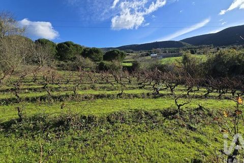 Terra a Cadaval, Lisbon, Cadaval - € 65.000 | Ref: 781614 - foto 3