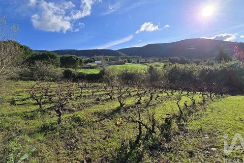 Terra a Cadaval, Lisbon, Cadaval - € 65.000 | Ref: 781614 - foto 4