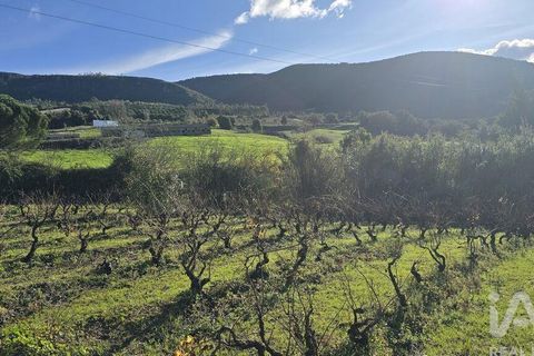 Terra a Cadaval, Lisbon, Cadaval - € 65.000 | Ref: 781614 - foto 5