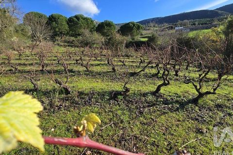 Terra a Cadaval, Lisbon, Cadaval - € 65.000 | Ref: 781614 - foto 6