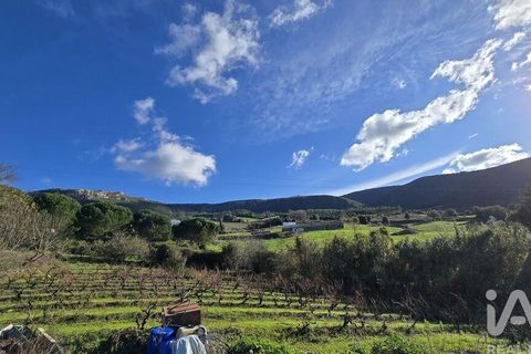 Terra a Cadaval, Lisbon, Cadaval - € 65.000 | Ref: 781614 - foto 7