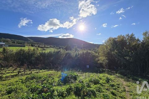 Terra a Cadaval, Lisbon, Cadaval - € 65.000 | Ref: 781614 - foto 8