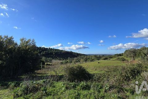 Terra a Cadaval, Lisbon, Cadaval - € 65.000 | Ref: 781614 - foto 9