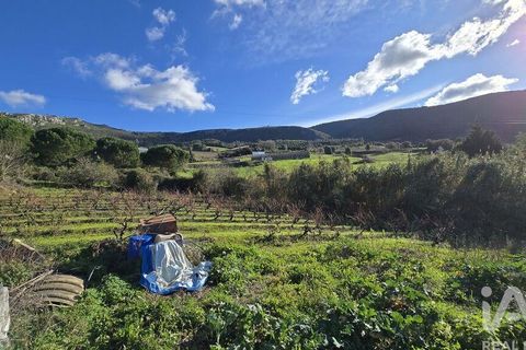 Terra a Cadaval, Lisbon, Cadaval - € 65.000 | Ref: 781614 - foto 10