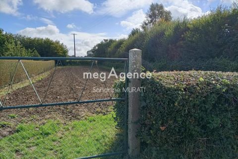 Terra a Gandelain, Orne, Gandelain - € 16.000 | Ref: 196369 - foto 4