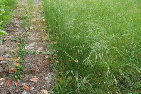 Helårsgrund i Hoerdt, Bas-Rhin, Hoerdt - € 140.000 | Ref: 196024 - foto 2