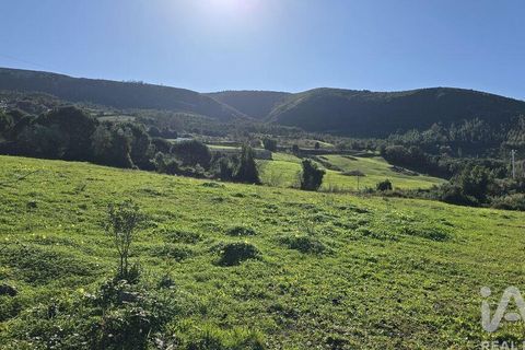 Helårsgrund i Cadaval, Lisbon, Cadaval - € 120.000 | Ref: 781281 - foto 9