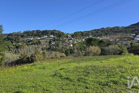 Helårsgrund i Cadaval, Lisbon, Cadaval - € 120.000 | Ref: 781281 - foto 8