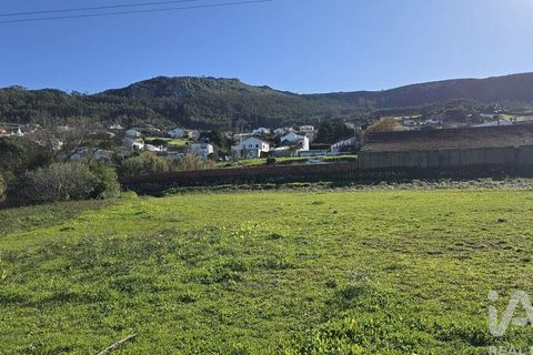Helårsgrund i Cadaval, Lisbon, Cadaval - € 120.000 | Ref: 781281 - foto 6