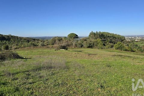 Helårsgrund i Cadaval, Lisbon, Cadaval - € 120.000 | Ref: 781281 - foto 14