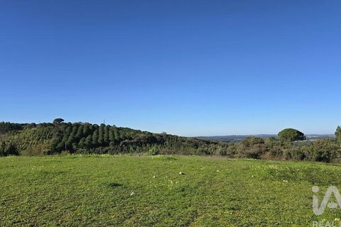 Helårsgrund i Cadaval, Lisbon, Cadaval - € 120.000 | Ref: 781281 - foto 12