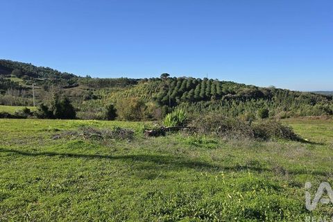 Helårsgrund i Cadaval, Lisbon, Cadaval - € 120.000 | Ref: 781281 - foto 13