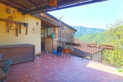 Villa i Comano, Massa and Carrara, Comano - € 495.000 | Ref: 346B - foto 4
