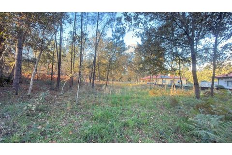 Helårsgrund i Ponte de Lima, Viana do Castelo, Ponte de Lima - € 175.000 | Ref: V385 - foto 5