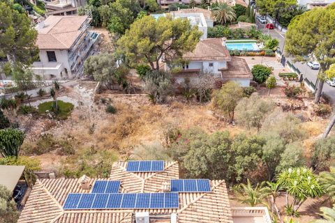 Terra a Bendinat, Mallorca, Bendinat - € 3.100.000 | Ref: FALC-Nep-63023 - foto 3