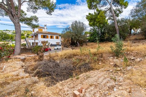 Terra a Bendinat, Mallorca, Bendinat - € 3.100.000 | Ref: FALC-Nep-63023 - foto 7