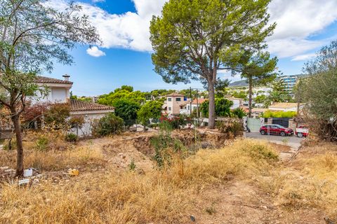 Terra a Bendinat, Mallorca, Bendinat - € 3.100.000 | Ref: FALC-Nep-63023 - foto 8