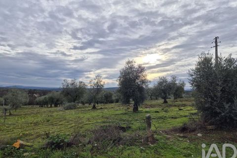 Byhus i Braganca, Braganca, Braganca - € 199.000 | Ref: 771495 - foto 5