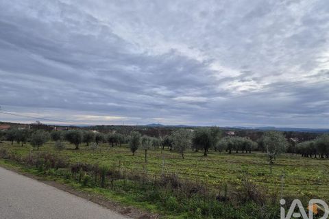 Byhus i Braganca, Braganca, Braganca - € 199.000 | Ref: 771495 - foto 19