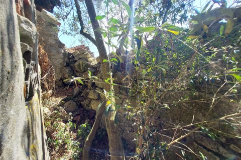 Villa a Alcobaca, Leiria, Alcobaca - € 47.500 | Ref: F00242 - foto 19