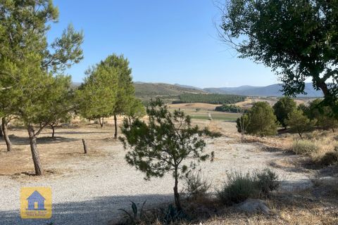 Пещера дома в Ventas Micena, Granada - фотография 4