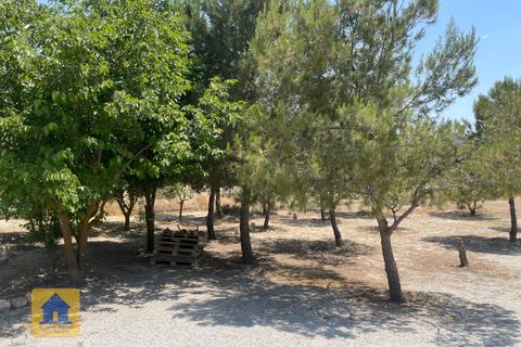 Пещера дома в Ventas Micena, Granada - фотография 3
