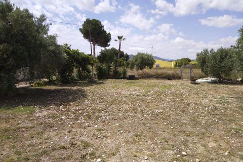 Landejendom i Sax, Alicante, Sax - € 315.000 | Ref: Orcaja - foto 15