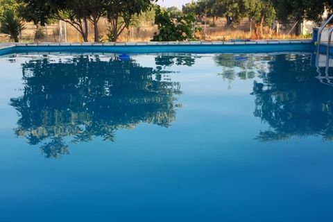 Landejendom i Sax, Alicante, Sax - € 315.000 | Ref: Orcaja - foto 27