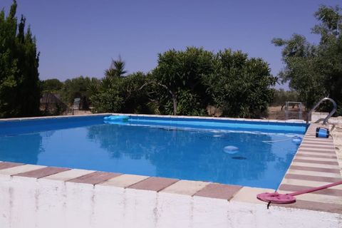 Landejendom i Sax, Alicante, Sax - € 315.000 | Ref: Orcaja - foto 30