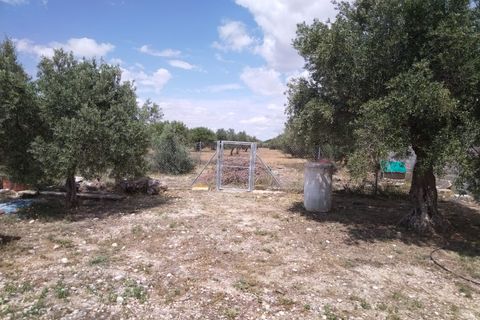 Landejendom i Sax, Alicante, Sax - € 315.000 | Ref: Orcaja - foto 29