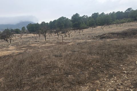 Masia a Salinas, Alicante, Salinas - € 450.000 | Ref: Isa Sal reform - foto 49