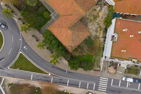 Villa a Castro Verde, Beja, Castro Verde - € 1.360.000 | Ref: 281671022 - foto 3