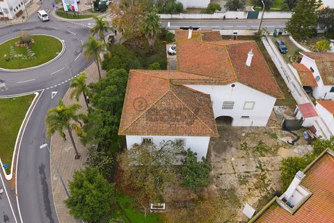 Villa a Castro Verde, Beja, Castro Verde - € 1.360.000 | Ref: 281671022 - foto 9