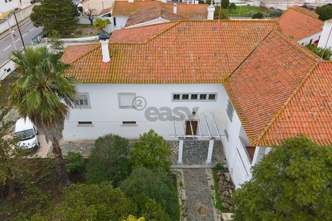 Villa a Castro Verde, Beja, Castro Verde - € 1.360.000 | Ref: 281671022 - foto 13