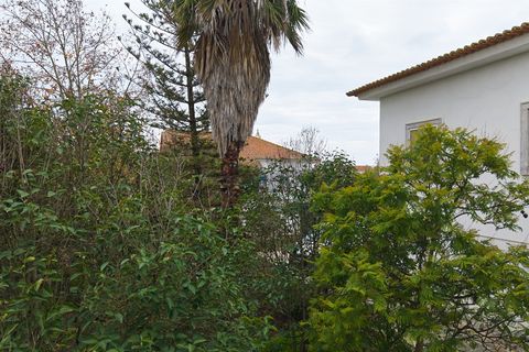Villa a Castro Verde, Beja, Castro Verde - € 1.360.000 | Ref: 281671022 - foto 16