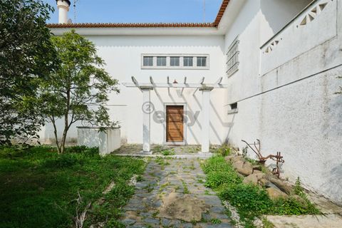 Villa a Castro Verde, Beja, Castro Verde - € 1.360.000 | Ref: 281671022 - foto 23