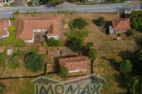 Farm i Souselo, Viseu, Souselo - € 299.000 | Ref: 2025-060 - foto 3