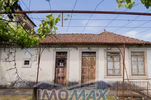 Farm i Souselo, Viseu, Souselo - € 299.000 | Ref: 2025-060 - foto 8