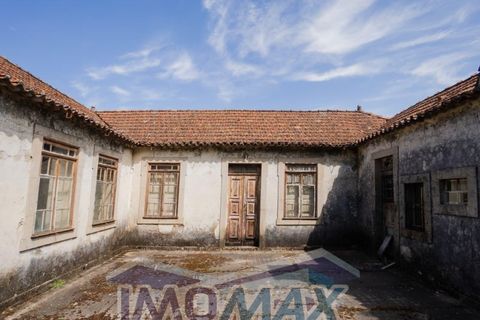 Farm i Souselo, Viseu, Souselo - € 299.000 | Ref: 2025-060 - foto 9