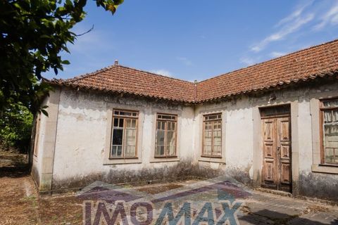 Farm i Souselo, Viseu, Souselo - € 299.000 | Ref: 2025-060 - foto 11